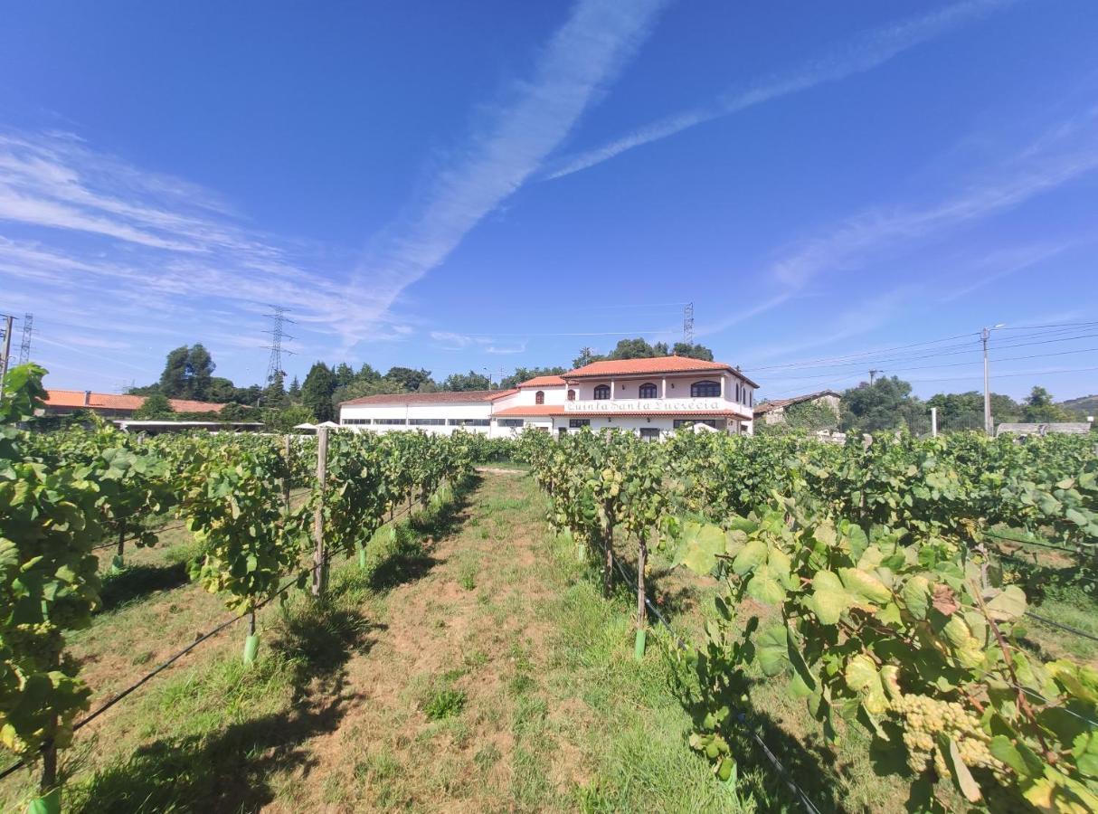Quinta Santa Lucrecia Villa Braga Kültér fotó